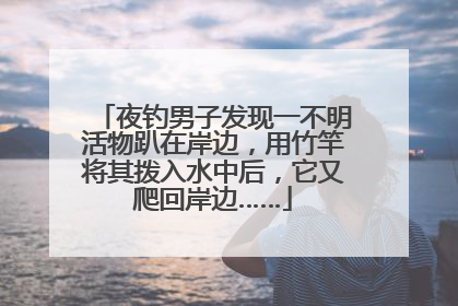 夜钓男子发现一不明活物趴在岸边，用竹竿将其拨入水中后，它又爬回岸边……